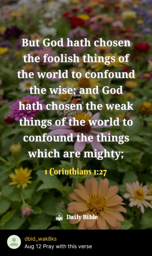 2025-08-121755054039311