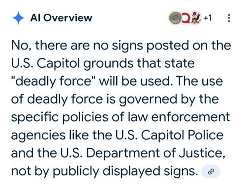 Screenshot_20250828_093814_Google(1)