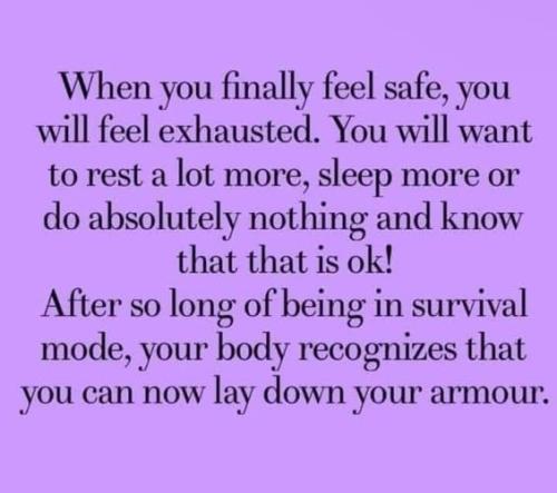 531891651_770135502569311_1484276420594635707_n