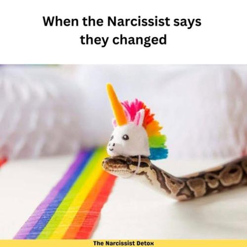 537073140_122248704038219155_1114582933475515152_n