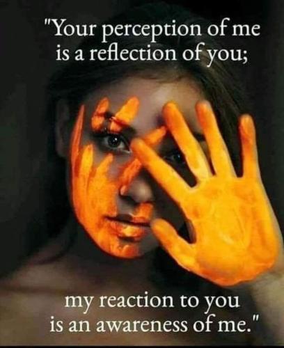 e6c9e99c98b6e499e3f4cf2d62fbf289