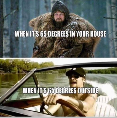 Screenshot_20250831_074147_Gallery