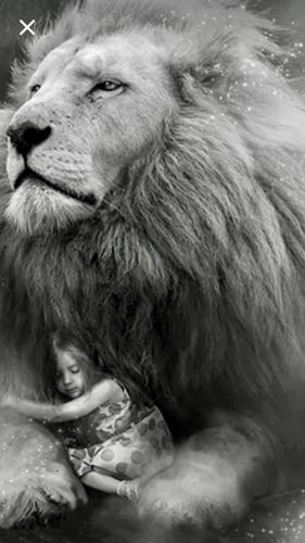 1e3c8fa828b177e0a5903f6866e546bd