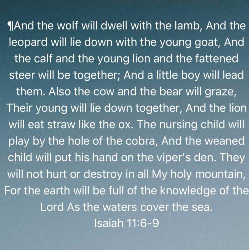 ea16082c-93d2-4590-85a4-cac69e3ffe12