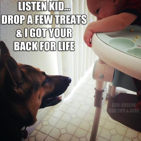 8e327b27669f04921b07447e343d9a0c