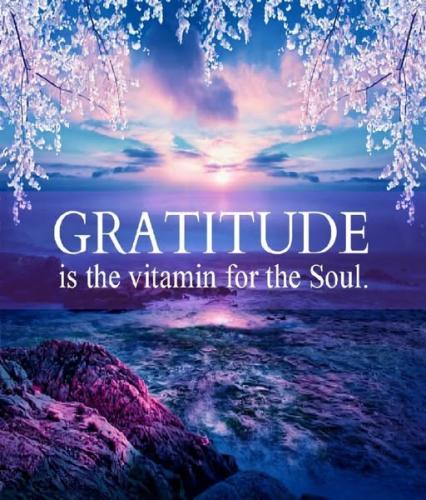 540000089_122224809740088259_8599505830782302451_n