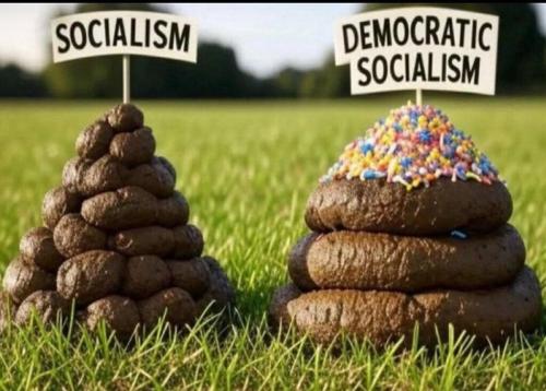 453edc53-629e-4b54-ac05-dd6971352bcc