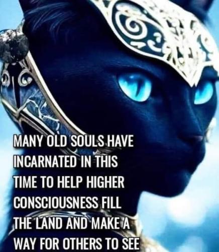 533090267_10231232813949923_2453338090774889013_n