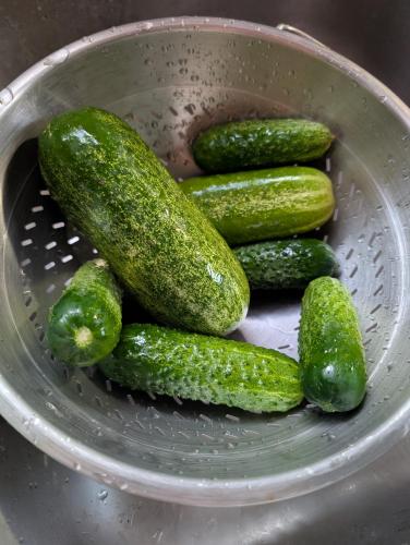 PXL_20250730_000316176