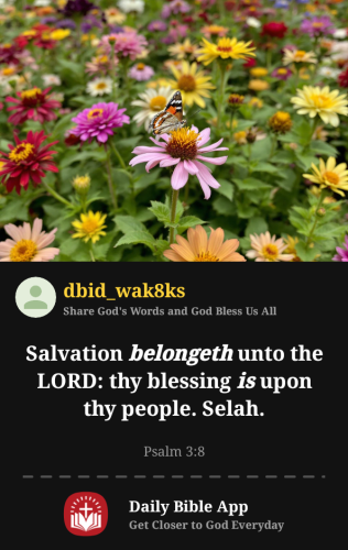 2025-08-171755471981319