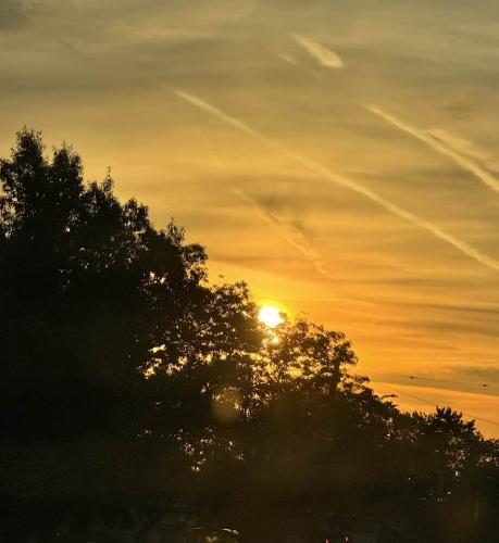 540870129_781813844237856_7591460499986692924_n