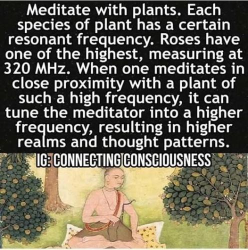 529953120_746248598113216_6830225703025107751_n