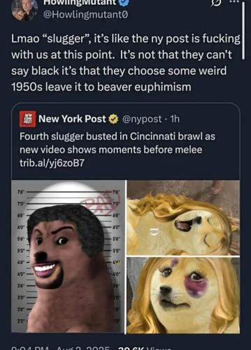 IMG_20250803_213603_246