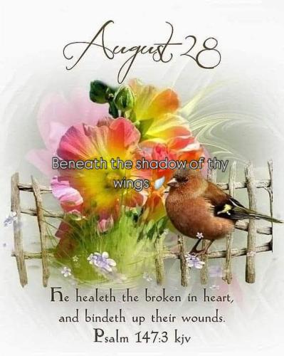 539752406_18022327541743683_483003774520776259_n