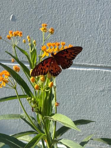 E89ABEE9-E35F-4428-A4F1-60597CE027B2