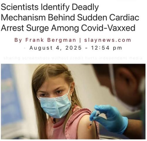 530132001_1332459992220504_8518538507163298699_n