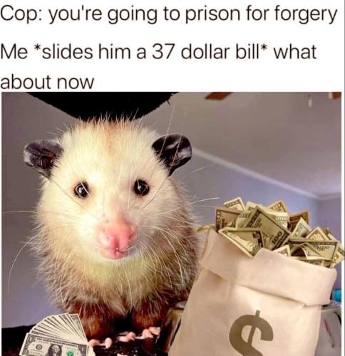 FB_IMG_1755543560546