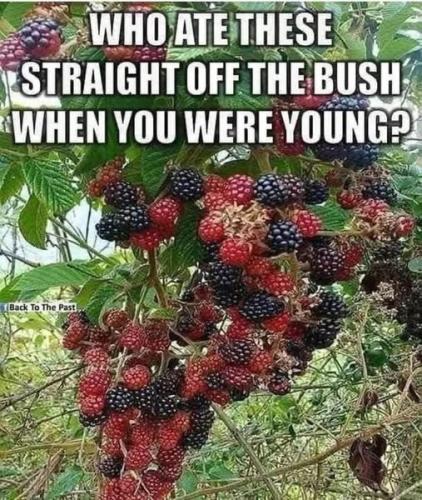 529833242_122222882048088259_1621786136087416005_n