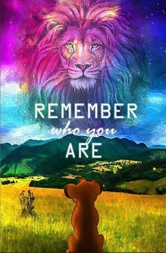 3bad946f8d0d5748bca1a24986da8be5