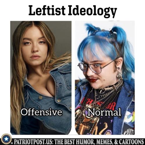 01K1X4250YNBCYFT6MQT76ZG13