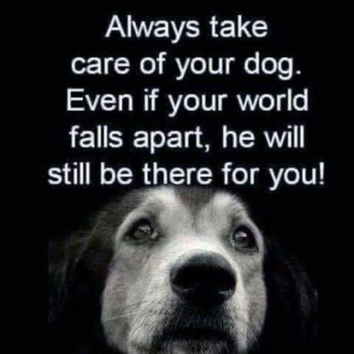 379f1133-3307-4d0e-bd68-c01322435f8f