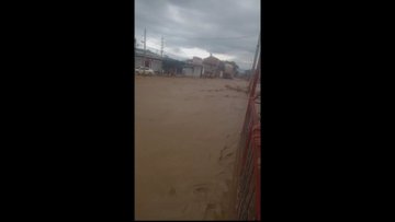 GyfNSAlbMAARL0B