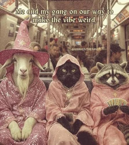 540373585_10172489173605344_1314084046151747978_n