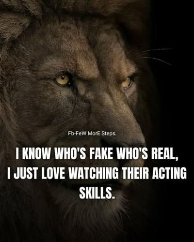 ccdb867349b5afb8bd2b3dce38b5fb99_1024