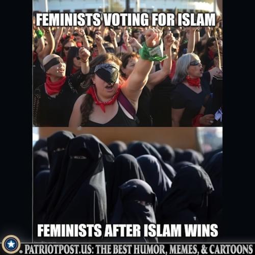 01K1YHK75A8ZDTBAWZRF84DR39