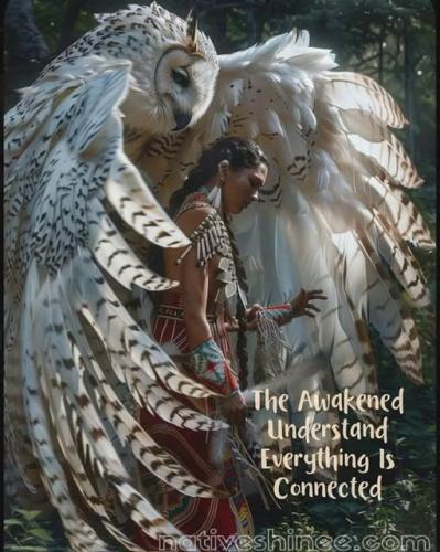 526618954_762156483367213_435102303601126473_n