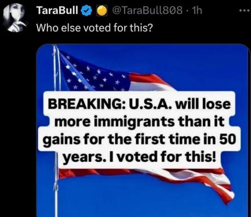 ILLEGALS GO HOME 666