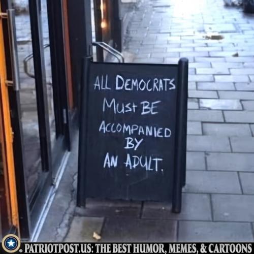 01K3MNEWCX5TEVV929D55N1GJA