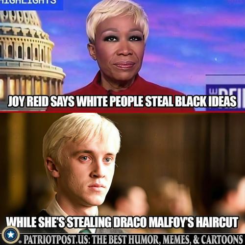 Joy Reid Theft