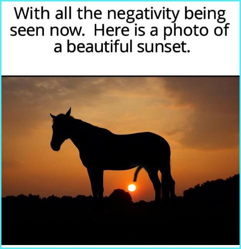 IMG_20250726_170411_966