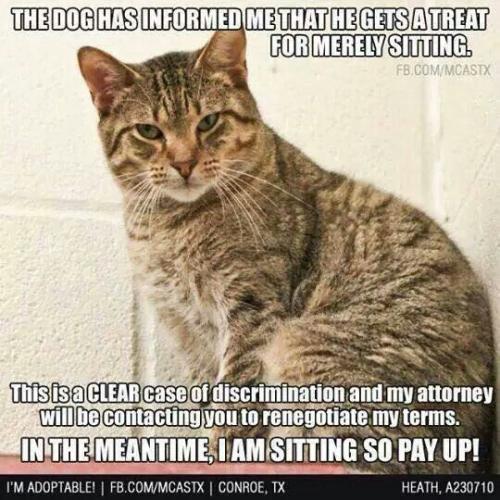 e44a08233026837689925630edda5f12