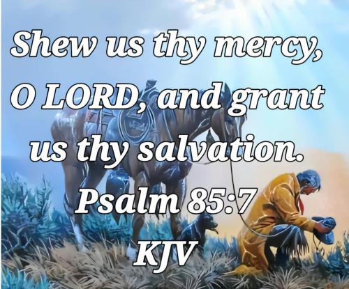 f0392167-e58a-40aa-8c54-c57b05939680