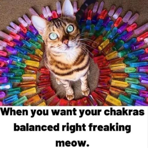 541981386_122225358776088259_1213617993084756004_n