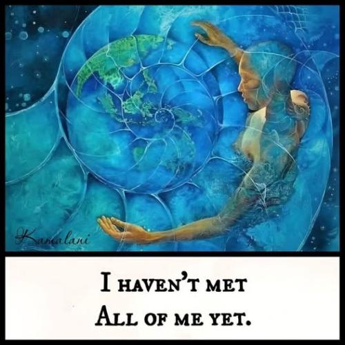 515442075_766020176314177_6885089320821098948_n