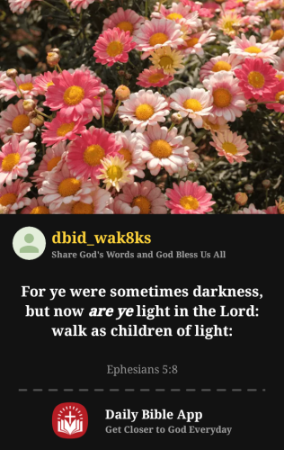 2025-08-081754692799298