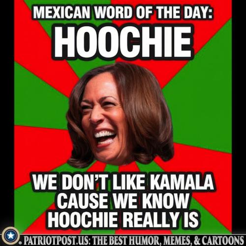 01K1K1MXGHSVAHW1QTMJEEV0QY