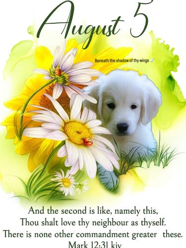 527398868_18019705130743683_3296916298140256663_n