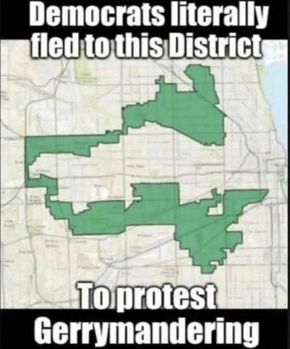 protest_gerrymandering