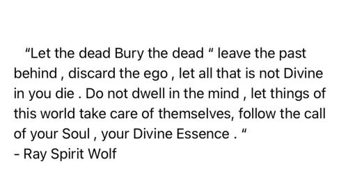 E61F39F4-0136-4B0C-A4C2-6F8EE639D42A