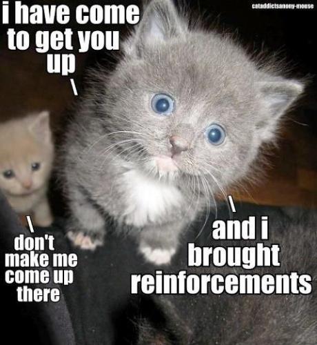 af50db436c7818f4c2430d4740df796b