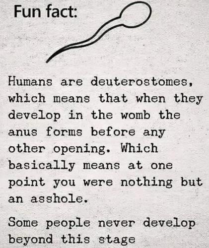 522908697_122184412064342979_2429149593475398812_n