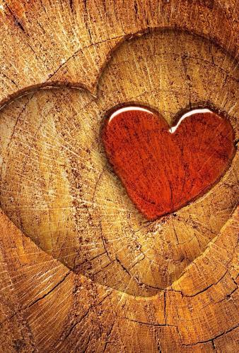 44584ca79c2e24b00348aa29294b21f3