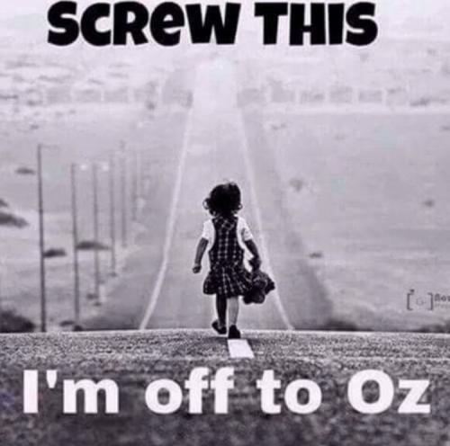 80be26d87a2bcda6136ab8580fc30977