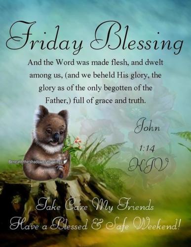 527356035_18019258166743683_8333910554131643490_n