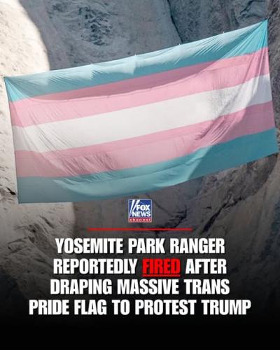 trans flag