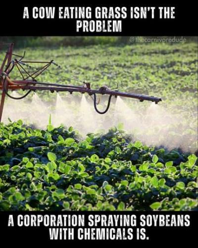 FB_IMG_1756498539301